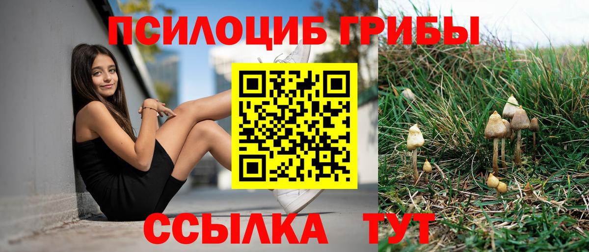 Галлюциногенные грибы ЛСД Шарыпово
