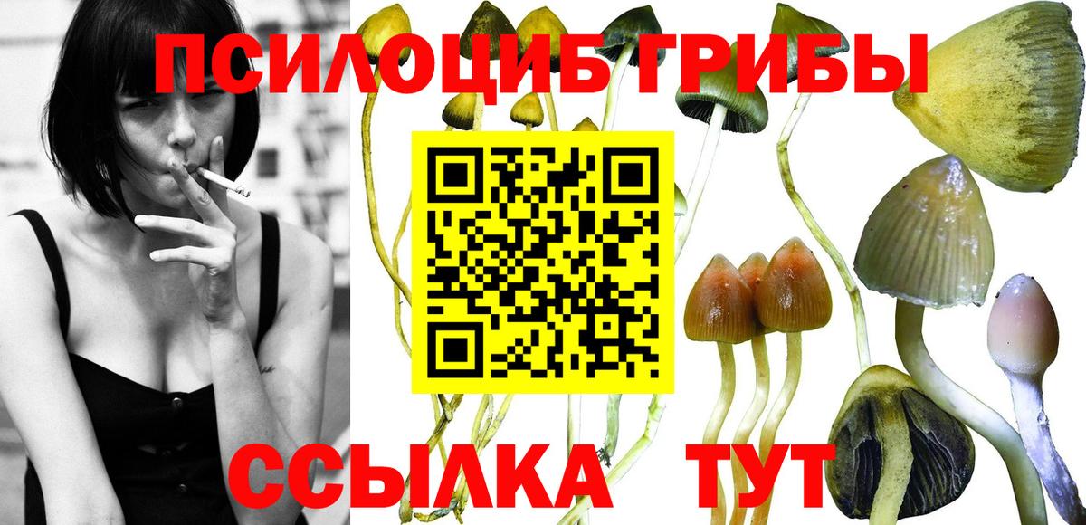 Галлюциногенные грибы мухоморы  Вход с VPN  Шарыпово 